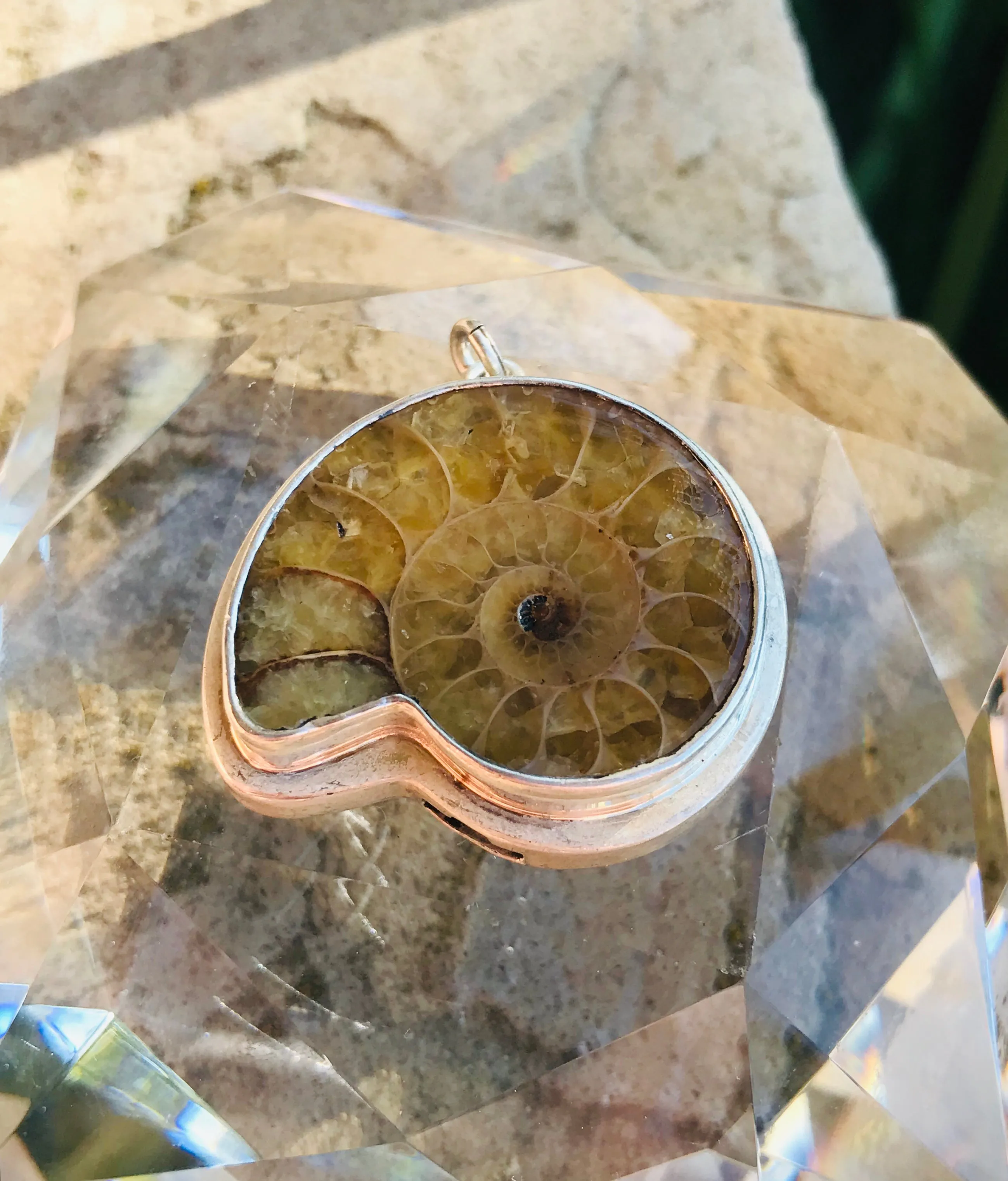 Antique Signed Sterling Silver 925 AG Ammonite Fossil Shell Pendant