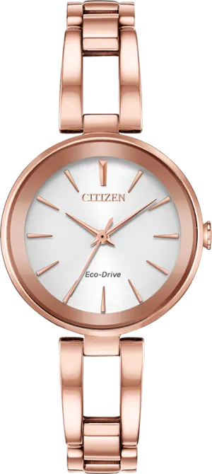 Citizen Eco Drive Axiom Women's Watch EM0633-53A