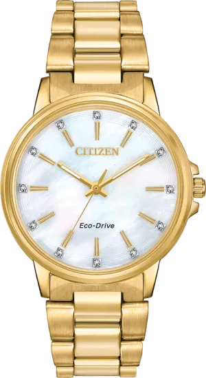 Citizen Eco Drive Chandler Women's Watch FE7032-51D