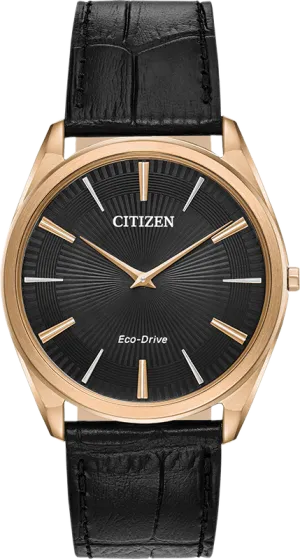 Citizen Eco Drive Stiletto Men's Watch AR3073-06E