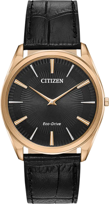 Citizen Eco Drive Stiletto Men's Watch AR3073-06E