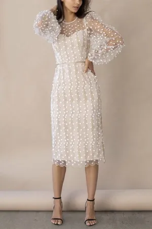 Embroidery Print Floral Mesh Women’s Elegant Party Dress