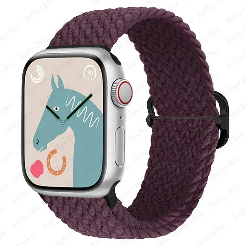 Nylon Braided Apple Watch Band