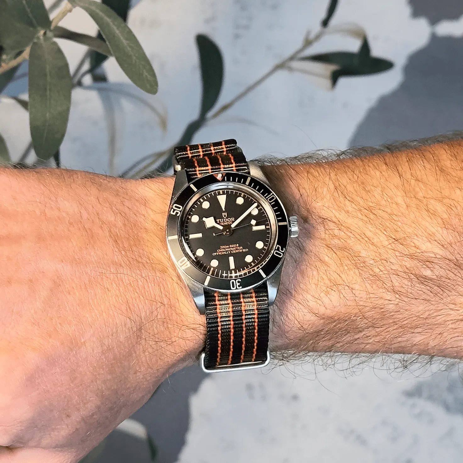 Original - Vintage Bond