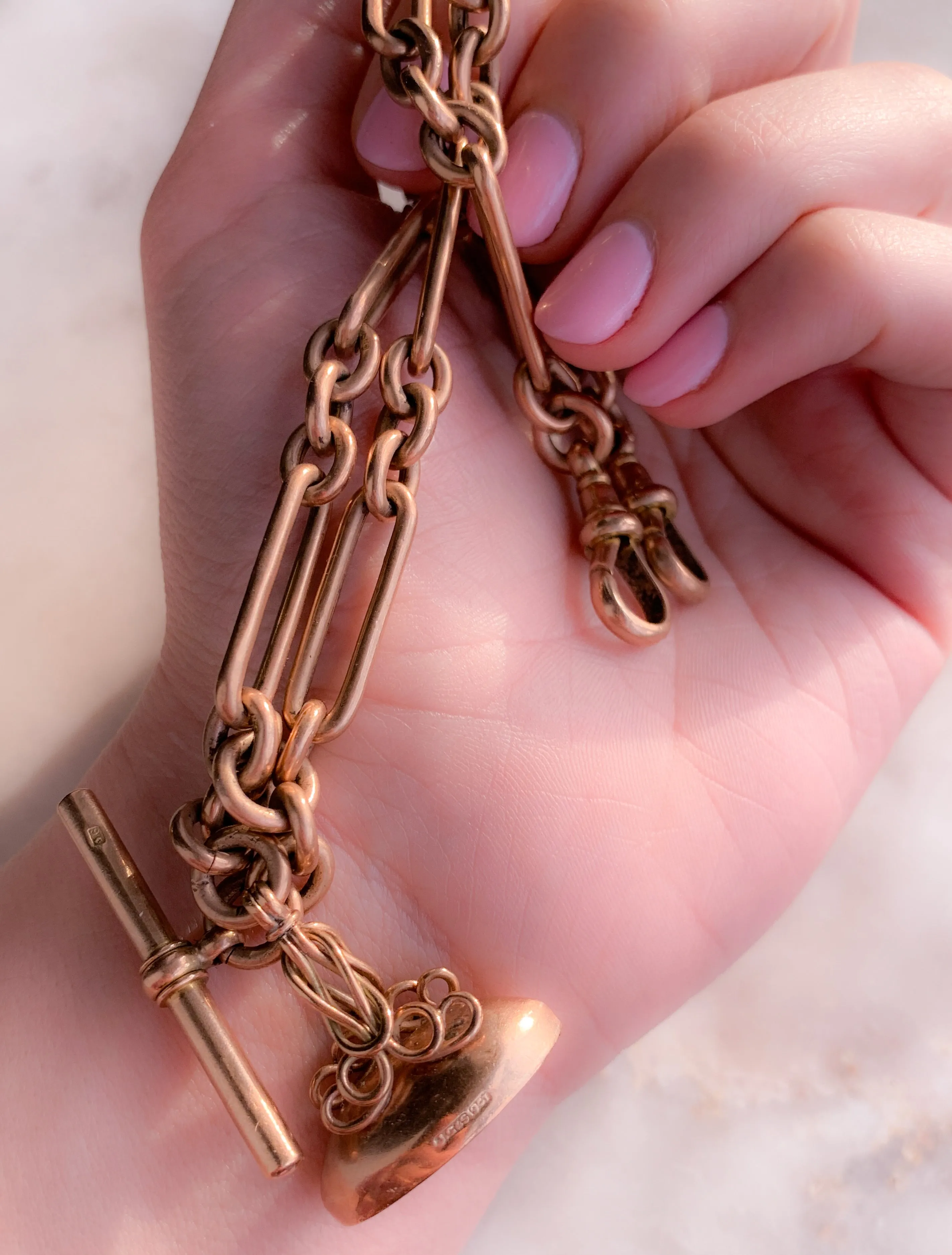 Rare Victorian Trombone Link Chain with Matching Fob