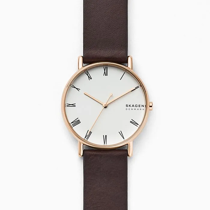SKAGEN SKW6493 Signatur Watch