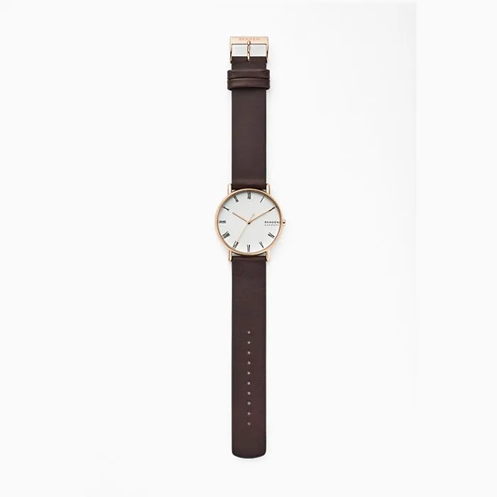 SKAGEN SKW6493 Signatur Watch